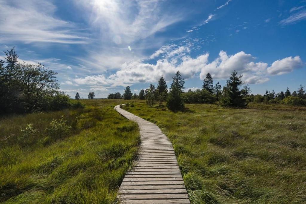 Le Noir Flohay 30 Pers - Malmedy, Vue, Wellness Βίλα Εξωτερικό φωτογραφία